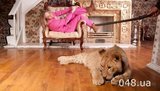Кадры одесских фотосессий со львом: животное избивают резиновой дубинкой. ФОТОрепортаж