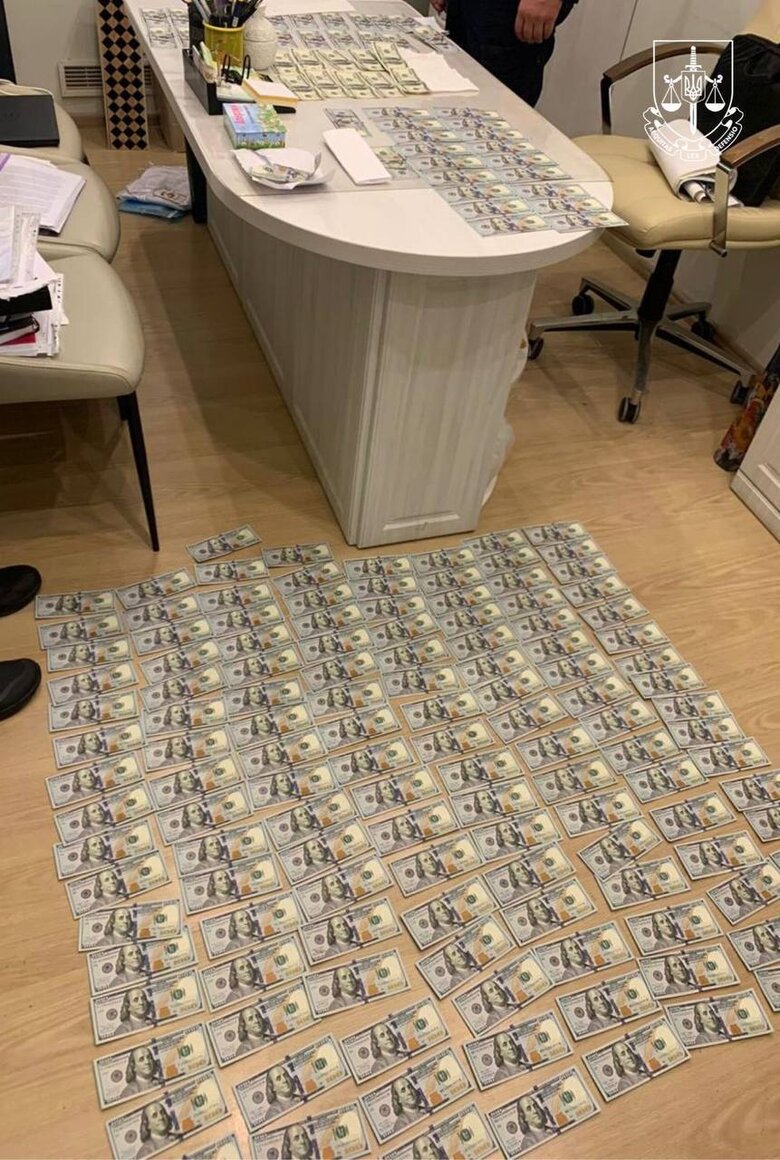 Чиновниця МСЕК та її син незаконно збагатилися на мільйони доларів