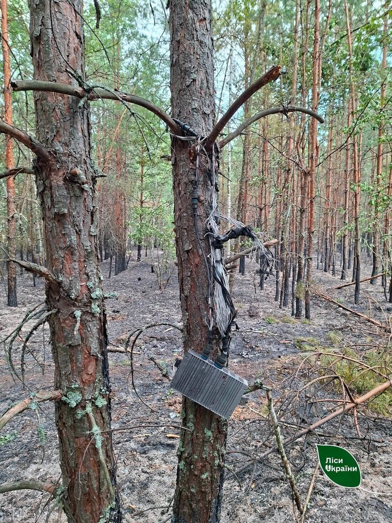 Лісову пожежу після атаки російського дрона на Київщині ліквідували за кілька годин