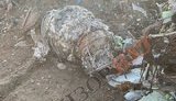 Бортові самописці дуже пошкоджені, - Іран готовий передати чорні скриньки фахівцям у Канаді чи Франції, якщо не зможе сам зчитати інформацію