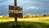 ринок,землі