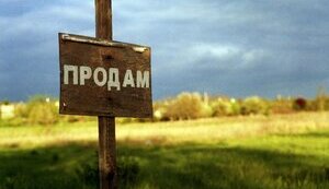 ринок,землі