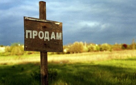ринок,землі