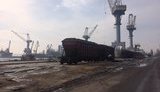 кукуруза гфс