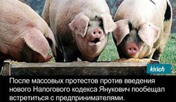 Встреча с предпринимателями
