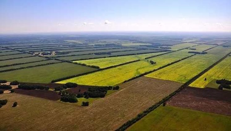 Покупка земли должна быть разрешена только украинским физлицам, – Кутовой
