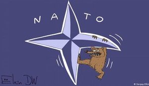 Загострення миролюбності, путінська квітка, Зе!РАДА. Свіжі ФОТОжаби від "Цензор.НЕТ"