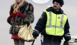 Завидное постоянство