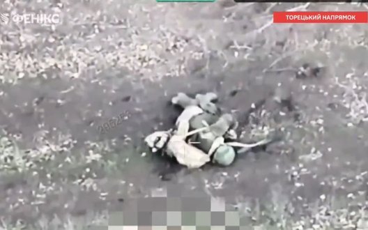 Пілоти підрозділу "Фенікс" знищили РСЗВ "Град", бронетехніку та уразили логістику ворога. ВIДЕО