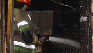За тиждень київські пожежники ліквідували 168 пожеж та 10 аварій, - ДСНС