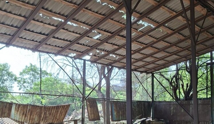 РФ атакувала Одеський зоопарк. Загинув домашній баран. ФОТО
