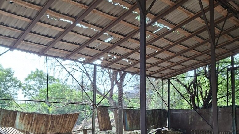 Odessa Zoo under drone attack by Russia