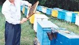 Ющенко лично благословлял скандальные стройки в столице, - экс-мэр Киева