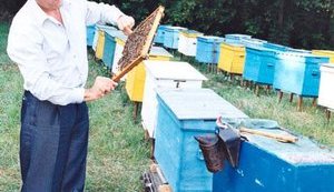 Ющенко готовится к переезду в собственное имение. Местным жителям уже плохо. ФОТО