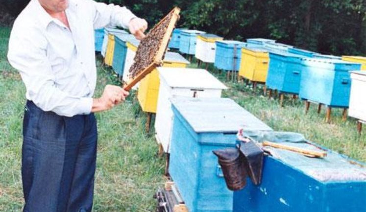 Ющенко готовится к переезду в собственное имение. Местным жителям уже плохо. ФОТО