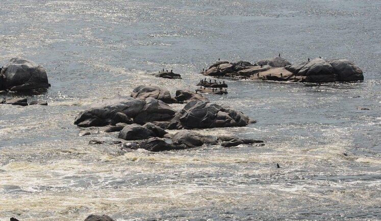 Ukrainian defenders control most of Dnieper islands in Kherson region - Southern Defense Forces