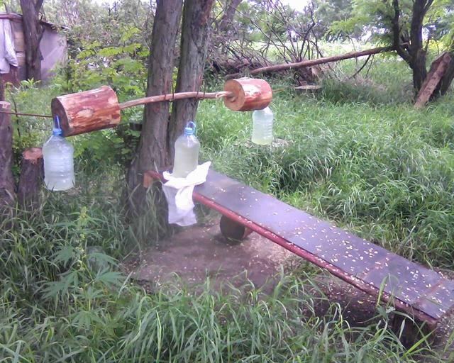 спорт ато