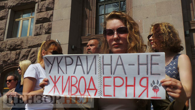 Ми втомилися від безкарності збоченців: Учасники Всеукраїнської акції Україна - не шкуродерня мітингували під КМДА 16