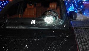 Неизвестные атаковали гирями автомобиль нардепа Рыбалки. ФОТОрепортаж