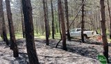 Лісівники Херсонщини ліквідували пожежу, спричинену обстрілом