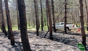 Лісівники загасили пожежу після падіння уламків БПЛА на Херсонщині. ФОТО