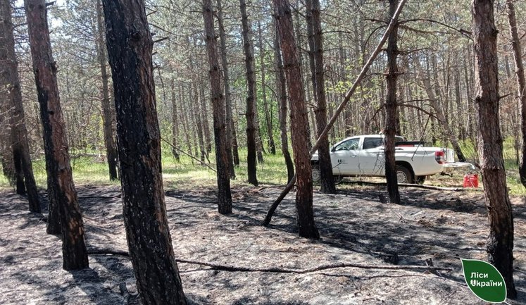 Лісівники загасили пожежу після падіння уламків БПЛА на Херсонщині. ФОТО