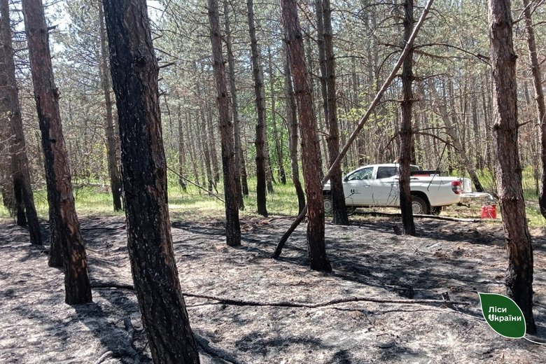 Лісівники Херсонщини ліквідували пожежу, спричинену обстрілом