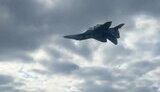 украинский самолет миг-29