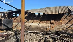 Російський удар знищив притулок для тварин на Одещині: загинули 10 котів і три собаки. ВІДЕО+ФОТОрепортаж