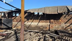 Russian strike destroyed animal shelter in Odesa region: 10 cats and three dogs were killed. VIDEO+PHOTOS