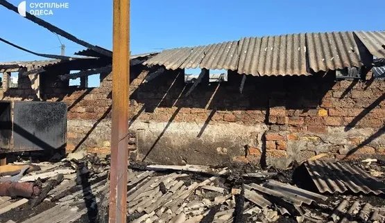 Російський удар знищив притулок для тварин на Одещині: загинули 10 котів і три собаки. ВІДЕО+ФОТОрепортаж