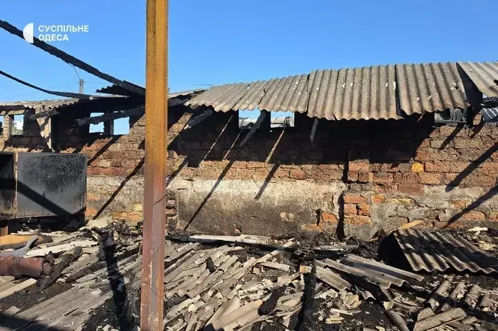 As a result of the Russian attack in the Odesa region, the ‘Loving Hearts’ animal shelter was burnt down, with 13 animals killed