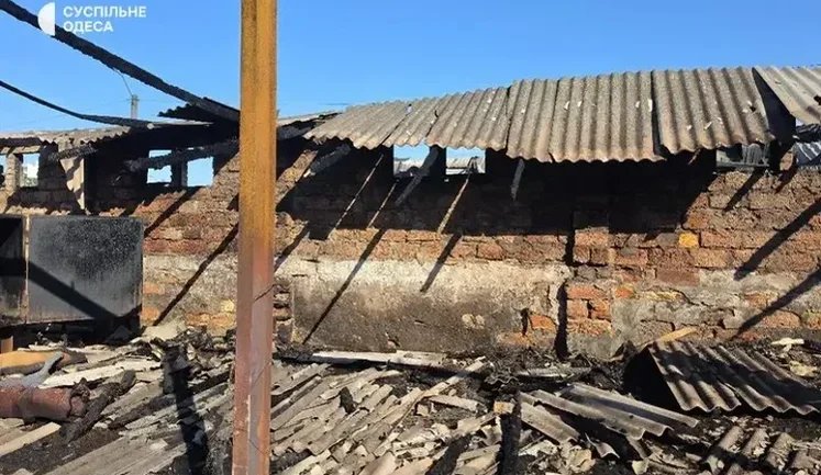Russian strike destroyed animal shelter in Odesa region: 10 cats and three dogs were killed. VIDEO+PHOTOS