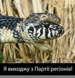 Выход из Партии регионов