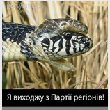 Выход из Партии регионов