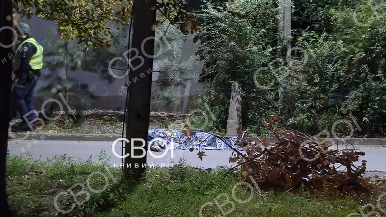 У Кривому Розі вбили президента місцевої федерації самбо Євгена Понирка