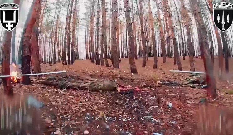 Тіло окупанта розірвало навпіл: ударний дрон пілотів "SIGNUM" ліквідував загарбника в лісі. ВIДЕО