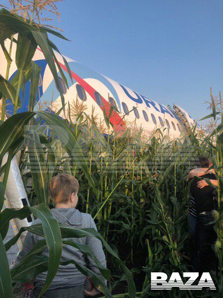 Crimea-bound passenger jet makes emergency landing in cornfield near Moscow 05