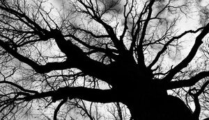 «Реальна» політка vs політики цінностей