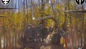 Удар FPV-дронов: батальон SIGNUM сжег российские тайники техники в лесополосе. ВИДЕО