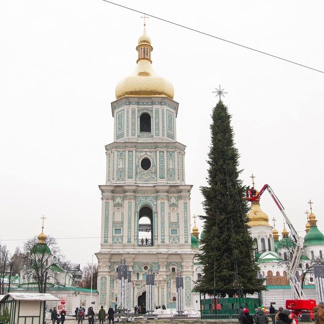 На Софийской площади в Киеве установили 27-метровую новогоднюю елку 01