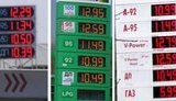 Под резиденцией Януковича продают "покращений" бензин по низким ценам. ФОТОрепортаж