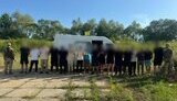 затримання ухилянтів біля Угорщини