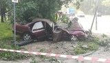 Во Львове 21-летняя девушка на Mercedes, пытаясь скрыться с места ДТП, врезалась в дерево и погибла. ФОТОрепортаж
