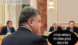 Твердое решение