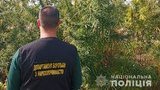 нацполиция