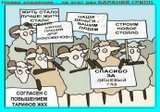 Был грипп птичий, свиной... теперь - бараний
