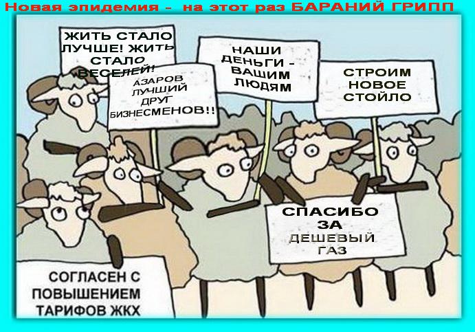 Был грипп птичий, свиной... теперь - бараний