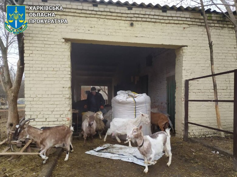 Росіяни атакували шахедами притулок тварин на Харківщині