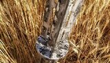 дніпропетровщина